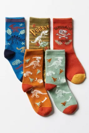 5 Pack Dino Socks Multi