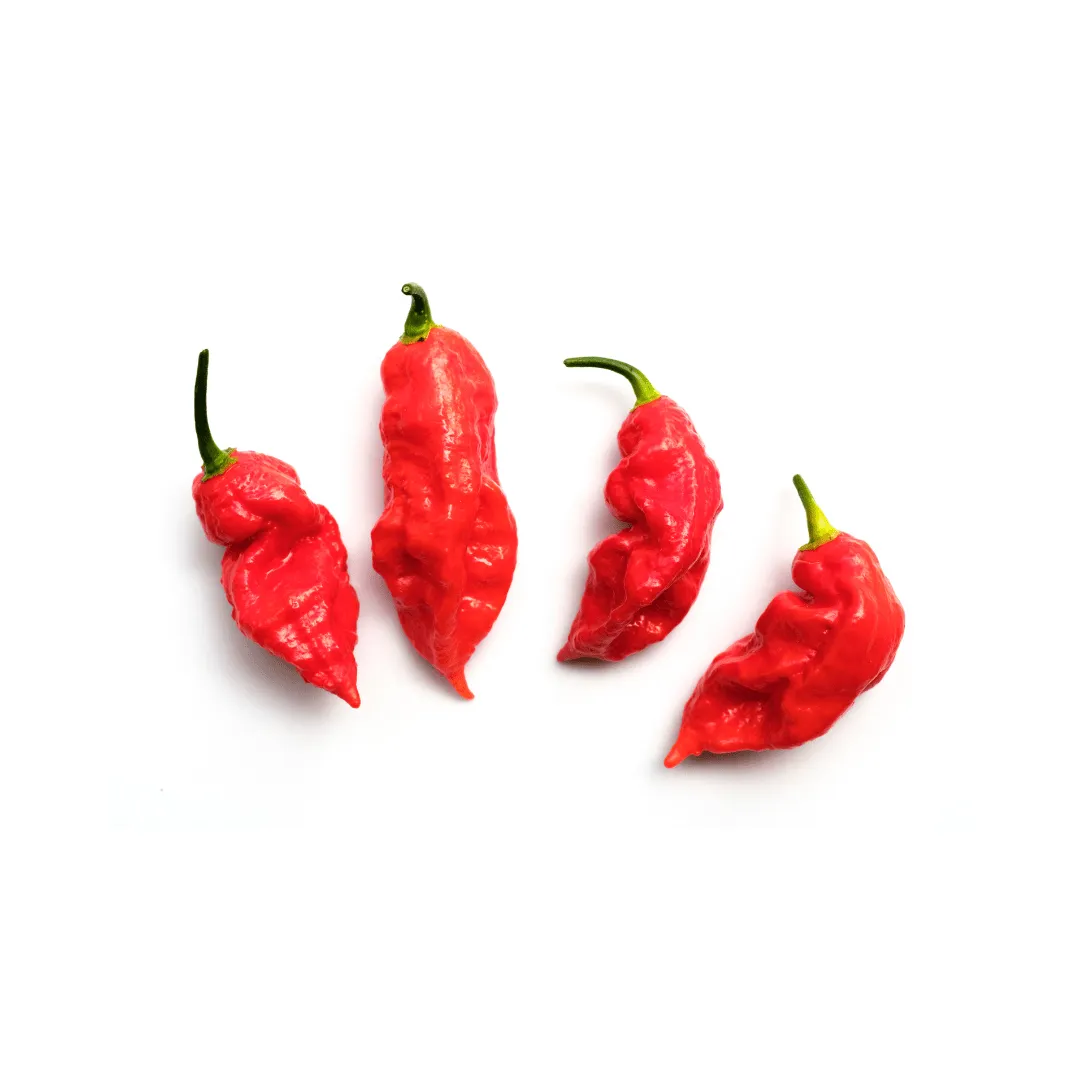 Pepper Ghost Chili Seeds | West Coast Seeds